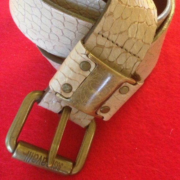 Roberto Cavalli Just Cavalli Python Tan Leather Belt Antique Brass Hardware main image 7
